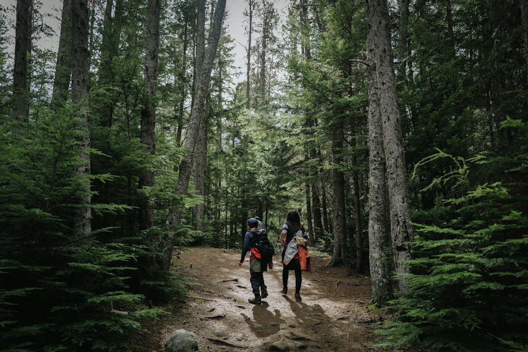 group hiking outdoors